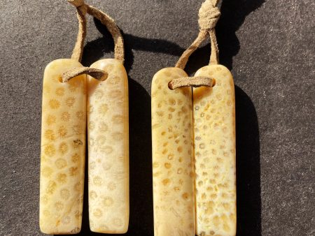 AAA Natural Fossil Coral Stone Earrings 12x50mm Rectangle Shape, Beautiful Natural Beige Color Earrings For Cheap