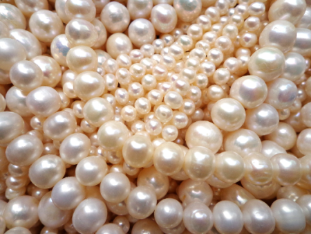 AAA Natural Freshwater Pearl Beads, 4mm 5mm 6mm 8mm 9-10mm 11-12mm Round Shape Beads, Beautiful Natural White Fresh Water Pearl Bead. 14” Supply