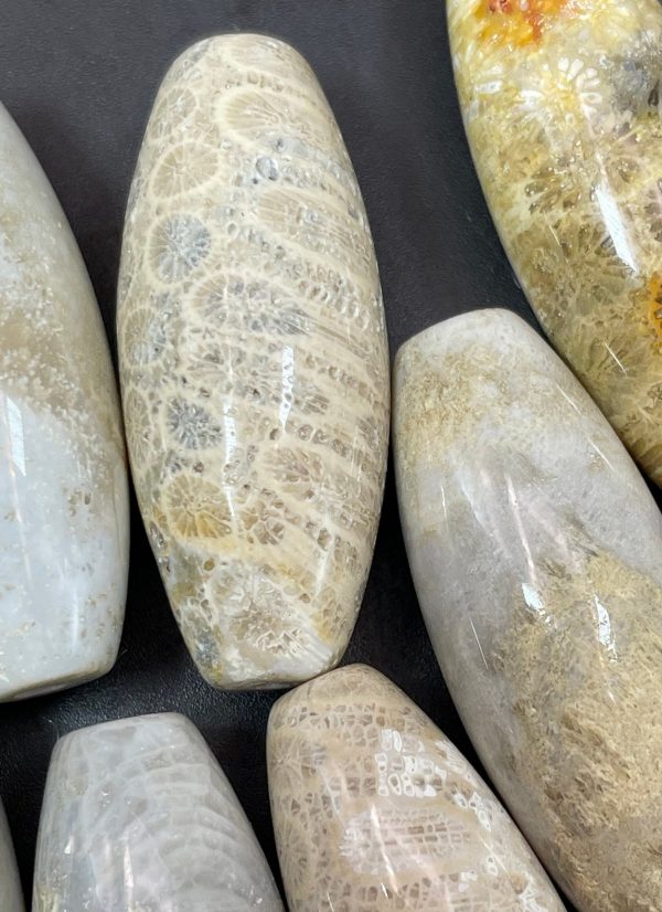 Natural Fossil Coral Gemstone Bead 16x40mm Barrel Shape, Beautiful Natural Beige Color Fossil Coral LOOSE BEADS Online now