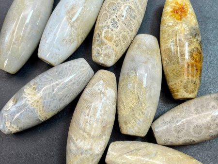 Natural Fossil Coral Gemstone Bead 16x40mm Barrel Shape, Beautiful Natural Beige Color Fossil Coral LOOSE BEADS Online now