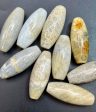 Natural Fossil Coral Gemstone Bead 16x40mm Barrel Shape, Beautiful Natural Beige Color Fossil Coral LOOSE BEADS Online now